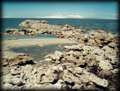 Lady Finger Point - Antelope Island