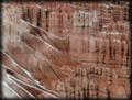 Bryce Canyon