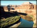 Colorado River from Shafer Trail