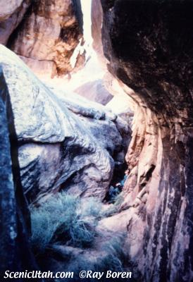 Canyonlands - The Joint Trail / Needles District