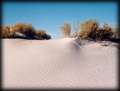 Sand Dune - Great Salt Lake Desert