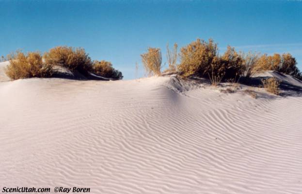 Sand Dune - Great Salt Lake Desert