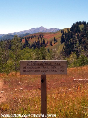 Blackhawk Trail