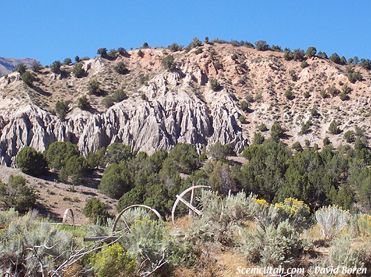 Rock Fins