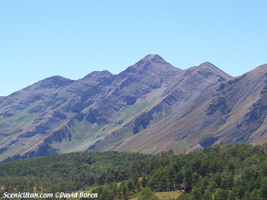 Utah Valley