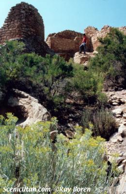 Hovenweep / Cahone Springs