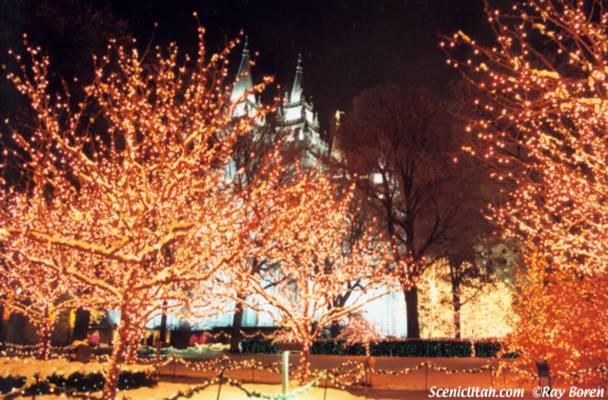 Christmas Lights at Temple Square