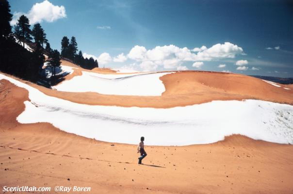 Coral Pink Sand Dunes