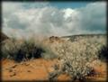 Snow Canyon
